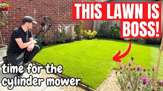 Cut Your Lawn Low with a Cylinder Mower [upl. by Angelis]