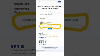 Cara cek data non ASN terbaru di BKN pppk2024 [upl. by Nancee123]