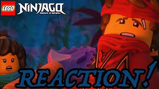 Ninjago Season 14 Episode 3 and 4 Reaction Ninjago The Island [upl. by Odetta]