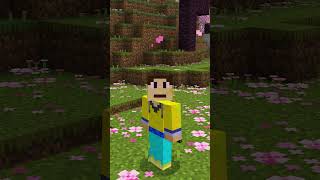 How To Get CUSTOM Capes For Minecraft  Easy and simple Minecraft PE and Bedrock minecraft120 [upl. by Medorra]