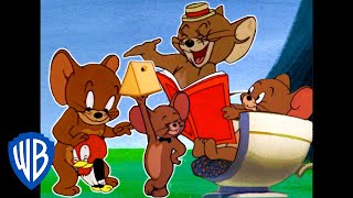 Tom amp Jerry  Best of Jerry Mouse  Classic Cartoon Compilation  WB Kids [upl. by Moscow]