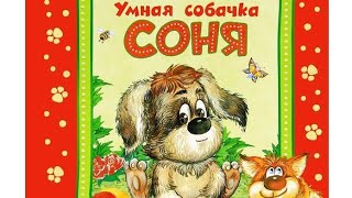 Аудиосказка Умная собачка Соня Автор Андрей Усачёв Читает Оксана Семерикова [upl. by Yeblehs758]