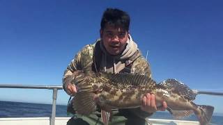 How to catch Lingcod amp Rockcod on Monterey Party Boats [upl. by Anna]