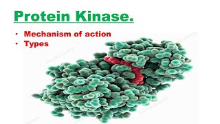 What are Protein Kinases Mechanism of action and its Types CSIR NET JRFICMR DBTGATE [upl. by Eneleoj]