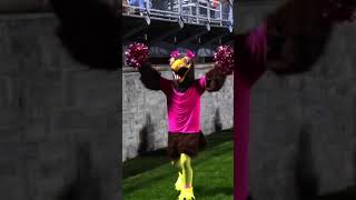 2024 Tyrone Golden Eagles Football Playoff Hype Video [upl. by Dallis60]