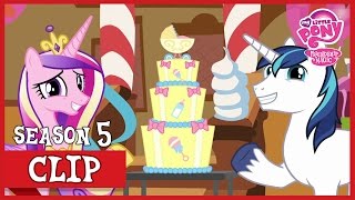 Shining Armor and Cadence are Having A BABY The One Where Pinkie Pie Knows  MLP FiM HD [upl. by Alrrats567]