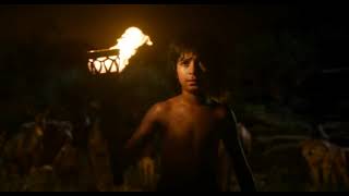 The Jungle Book 2016 sharekhan fight baloowovles and bagheera Hollywood movie clips [upl. by Lrae]