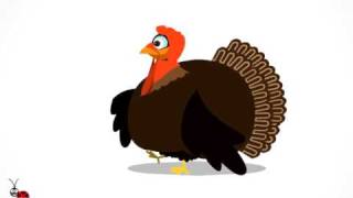 Funny Animated Greeting Ecard Turkey Life [upl. by Ehudd]