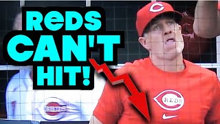 Numbers Dont Lie Cincinnati Reds HISTORIC Hitting Slump Elly De La Cruz MLB Baseball Highlights [upl. by Burck965]