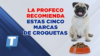 ¿Tienes ‘lomitos’ La Profeco recomienda estas 5 marcas de croquetas [upl. by Nylzaj]