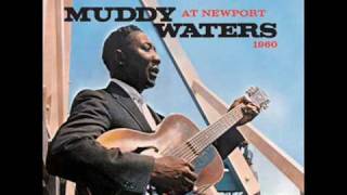 Muddy Waters  Look What Youve Done [upl. by Asseram]