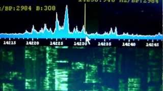 Web SDR  I made my own Web SDR to access my SDR remotely [upl. by Ruy]