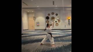 Taekwondo Taegeuk Chil Jang  Red Belt Form [upl. by Areyk723]