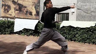 Šaolino UŠU pagrindai  Shaolin Ji Ben Gong  少林基本功 [upl. by Yerbua]