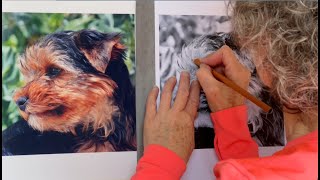 HOW TO TRACE YOUR PUPPY ONTO PASTELMAT PAPER  PART 1 FREE REALTIME ART UNINTENTIONAL ASMR [upl. by Yraeg864]