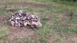 Campground Review  Bailey Canyon Cloudcroft New Mexico [upl. by Akla654]