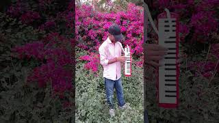 melodica ji Lenge Sarkar Teri Sarkari mein ll shorts bhajan [upl. by Ahsaei]