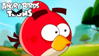 Angry Birds Stella  A Fork in the Friendship  S1 Ep1 [upl. by Bloxberg]