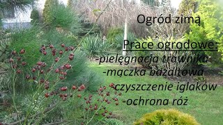 Zima w ogrodzie prace ogrodowe w styczniu Ogród Jadzi 177 [upl. by Nnelg]