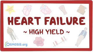 Heart failure Pathology review [upl. by Rosenthal]