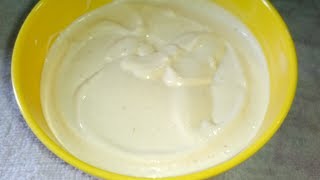 How to Make Mayonnaise with Blender at Home [upl. by Nivlac]