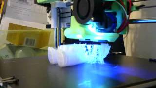 Toothless the Dragon 3d Print Timelapse [upl. by Decato]