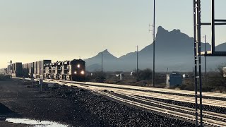 5 UP engines lead a hotshot stacker through Picacho AZ 21124 [upl. by Karleen]