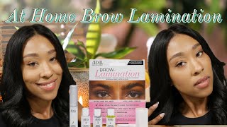 My First Time Laminating My Brows Ardell Professional Eyebrow Lamination [upl. by Ecertal642]