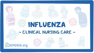 Influenza Clinical Nursing Care [upl. by Alyos]