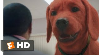 Clifford the Big Red Dog 2021  At the Vet Scene 410  Movieclips [upl. by Schechinger]