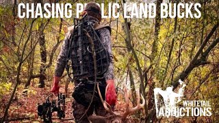 FOUR BUCKS ON PUBLIC LAND IN ONE SEASON with Jace Allen [upl. by Grati668]