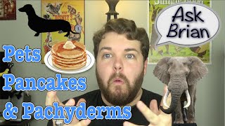 Pets Pancakes amp Pachyderms  Ask Brian [upl. by Atinuaj]