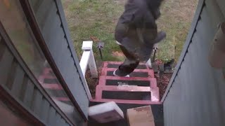 Homeowner Sets Up Booby Trap for Porch Pirates Stealing Packages [upl. by Birkett]