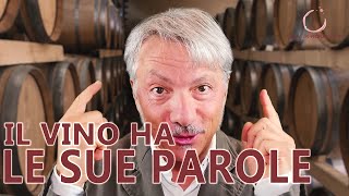 LE 30 PAROLE quotBASEquot DEL VINO PIU UTILIZZATE DAI SOMMELIER [upl. by Helse312]