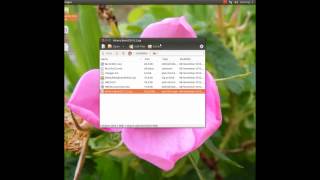 How to create and run the Hirens BootCD 152 in Ubuntu 1210 Linux [upl. by Ayotak]