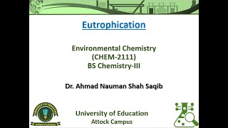 Eutrophication Process  a Comprehensive Overview [upl. by Hofmann]