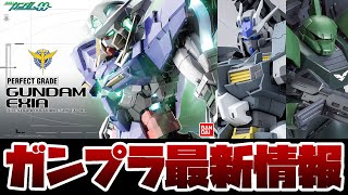 ガンプラ最新情報！PG 160 エクシアやMG 1100 ガンダムストームブリンガー ＰＦなどプレバンでポチれるキットまとめ！！ [upl. by Zohara]