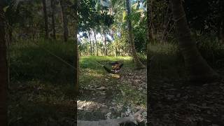 HAMMOCK SET UP knots shorts shortvideo [upl. by Roane]