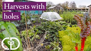 Small garden 103kg harvests in 2023 despite snails and and ideas for next year  Charles Dowding [upl. by Eecram]