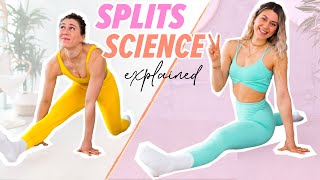 How to Get the Splits as a Beginner Science Explained [upl. by Aivart]