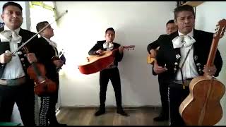 Mariachi de 5 u 8 integrantes en Ecatepec Tultitlán Tecamac Texcoco y Coacalco Cel 5529601911 [upl. by Aivatco]