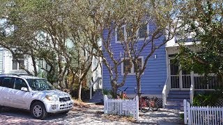 Jacks Beanstalk  56 Tupelo Street  Seaside FL  Cottage Rental Agency [upl. by Dahle404]