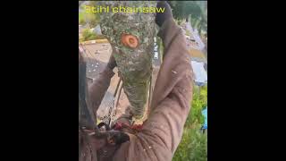 Crazy chainsaw incredible skills Amazing chainsaw skillsshorts [upl. by Vlada400]