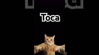 Toca aca [upl. by Nathan]