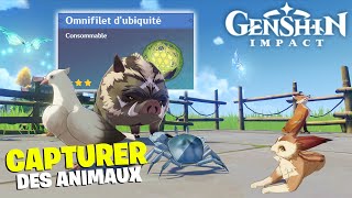 Capturer des Animaux avec LOMNIFILET DUBIQUITÉ amp les Avoir dans la Sérénithéière  Genshin Impact [upl. by Sherrie692]