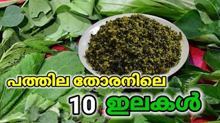 Pathila Thoran LeavesLeafy Vegetables In Karkadakam [upl. by Sethi]