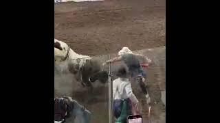 Bull Power rodeo [upl. by Chelsy459]