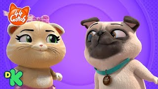 🎵 Canta la canción quotPerro y gatoquot  44 gatos  Discovery Kids [upl. by Mag]