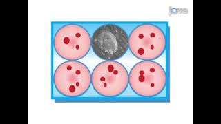 How to Freeze and Thaw Human Embryonic Stem Cells [upl. by Proudfoot]