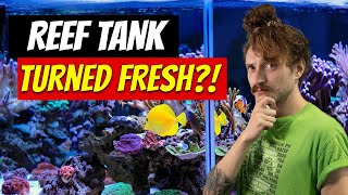 WE TURNED A REEF TANKFRESH [upl. by Anael]